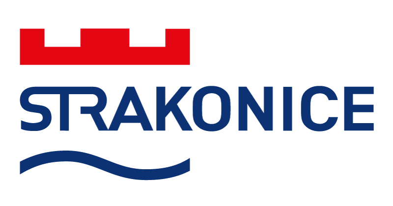 Primary Raster logo